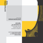 Srđan Gavrilović: Karavan osjećanja